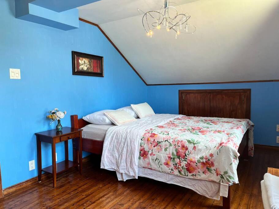 לוויס Petite Maison 2 Bedrooms מראה חיצוני תמונה